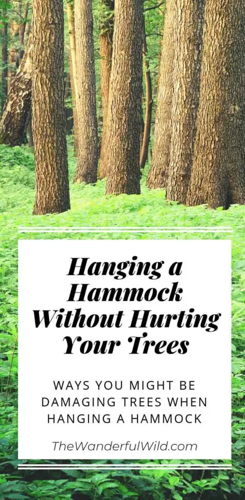 Hanging a hammock without hurting your trees