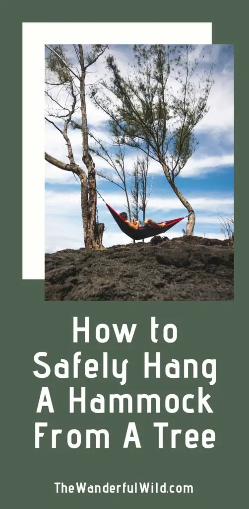 How to safely hang a hammock from a tree