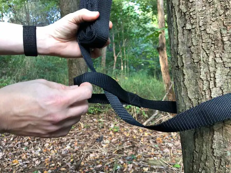 Pull strap through tight to tree