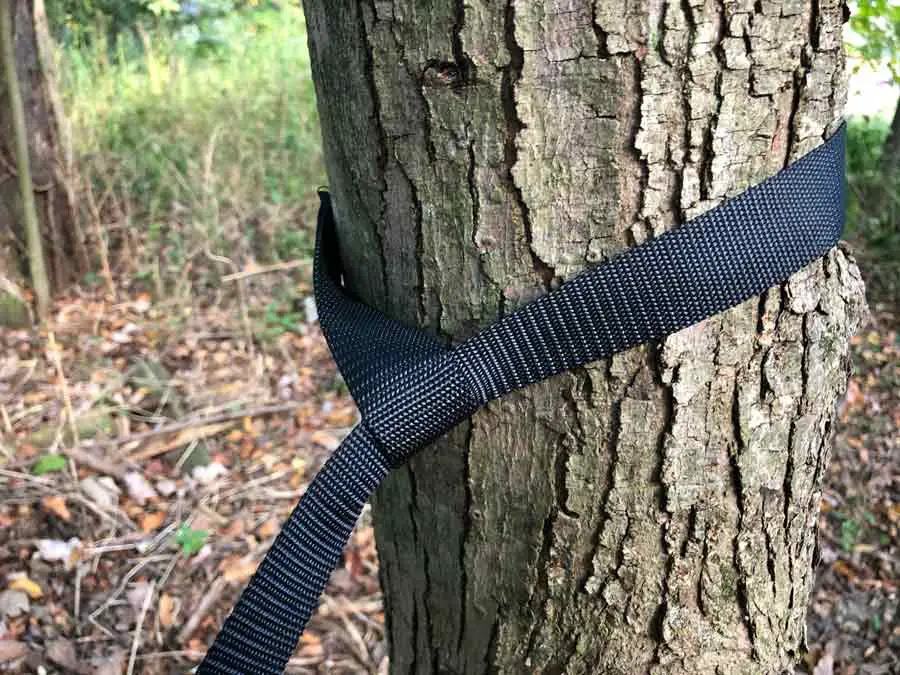 Pull and tighten strap around tree
